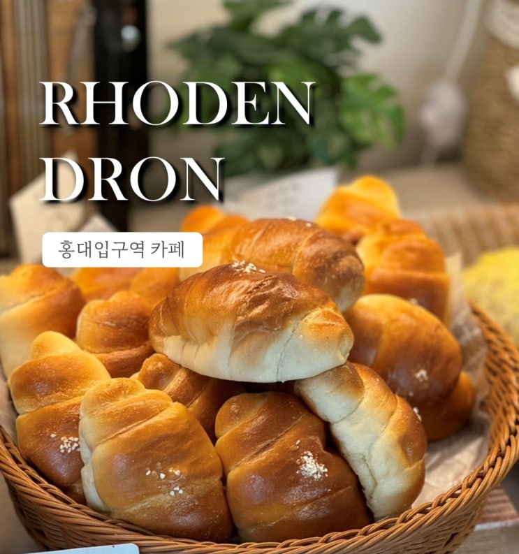  로덴드론, 카공하기 좋은 홍대 카페 카이막 맛집