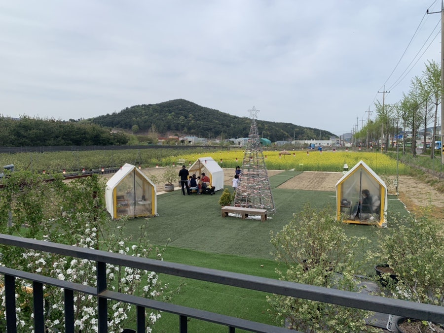 난농부 사진 4