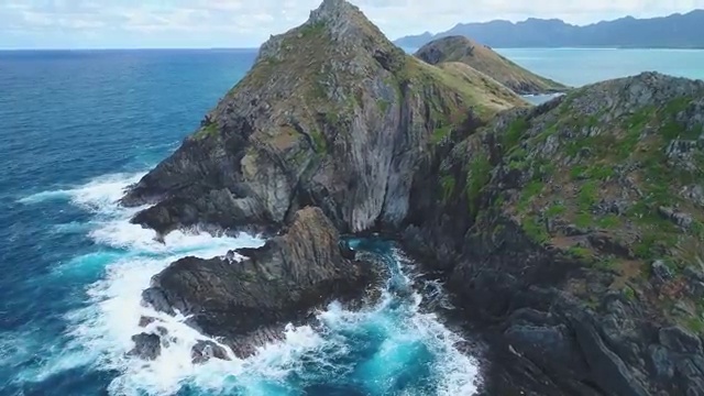  화훼장식산업기사응시자격 화훼장식산업기사 응시자격 관련학과 졸업장, 경력없어도 인강만으로 간단하게 완성했던 노하우