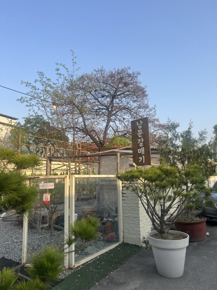 청주 성안길 남문갈매기 캠핑 분위기 야외 고기집
