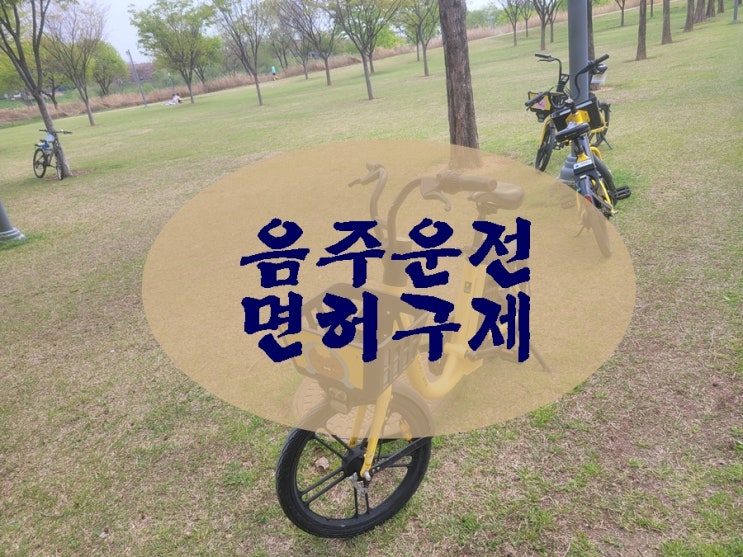  음주운전 면허취소 기간 1년을 정지로 감경이 가능할까