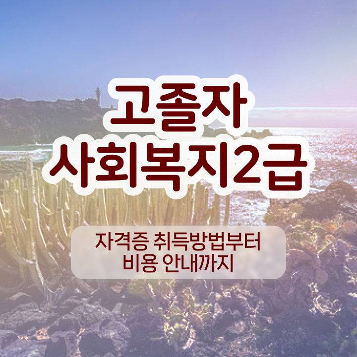  사이버대사회복지사 ~ 고졸인데 간편하게 사회복지사 자격증을 취득했던 팁 핵심 정보 정리