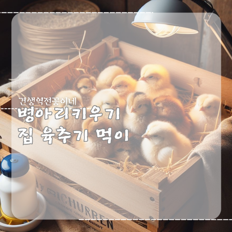  병아리 집 육추기만들기 병아리 키우기 병아리 먹이,사료,모이,물통 준비
