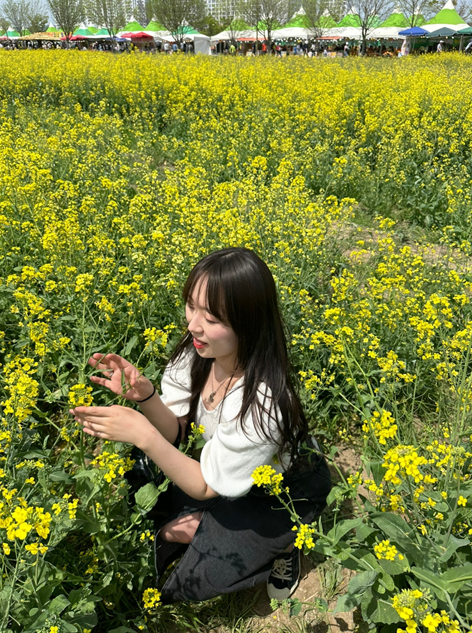  부모님 강아지와 함께 가기 좋은 창녕 남지 낙동강 유채꽃 축제