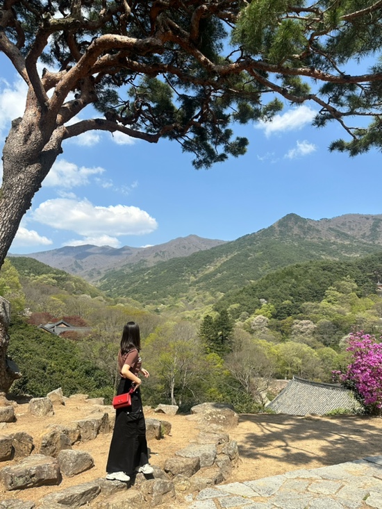  푸릇푸릇 봄 구례 여행 / 구례 화엄사 겹벚꽃, 쌍산재 예약, 구례 곡성 에어비앤비 추천, 곡성 가볼만한 곳, 곡성 기차마을, 섬진강 둘레길, 화엄사 맛집, 곡성장미축제 정보
