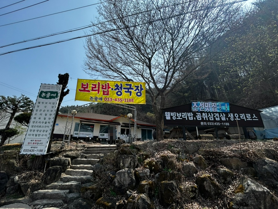 논골애 사진 1