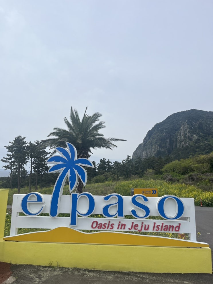  [서귀포카페/안덕카페]엘파소 Elpaso