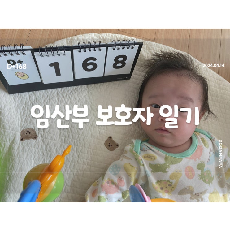 두 번째 겪는 도담이 원더윅스D+168 두 번째 겪는 도담이 원더윅스D+168