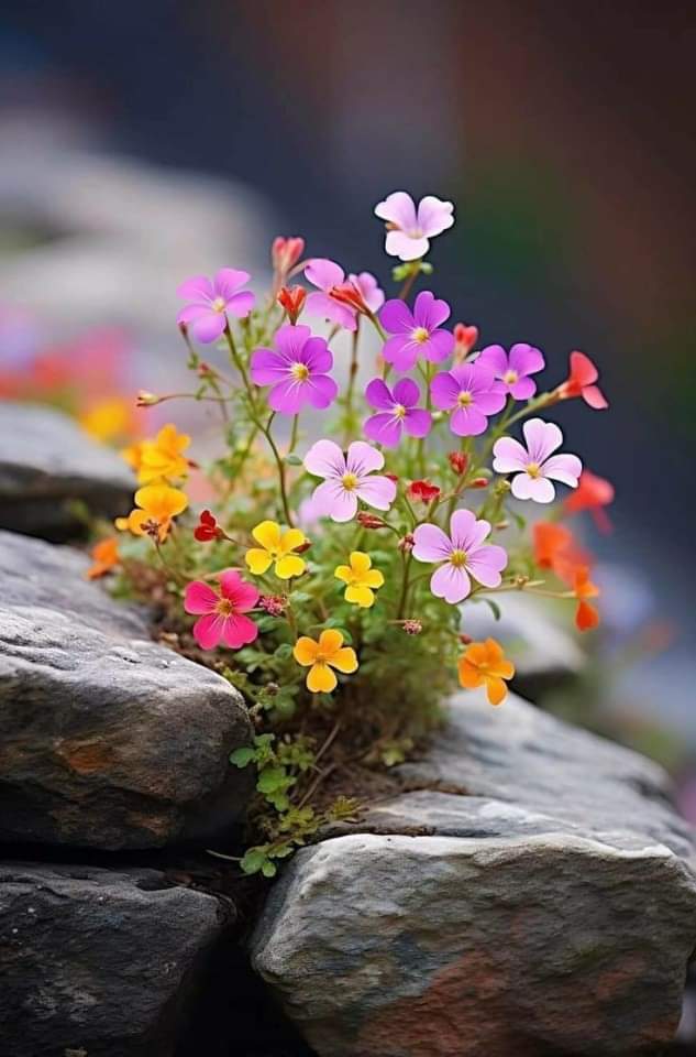   오늘의 생활정보 (2024-04-14, 일)