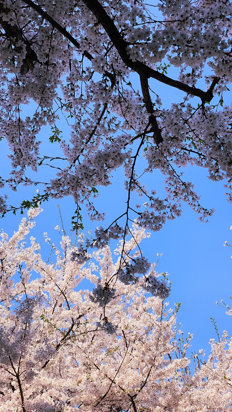  가혹한