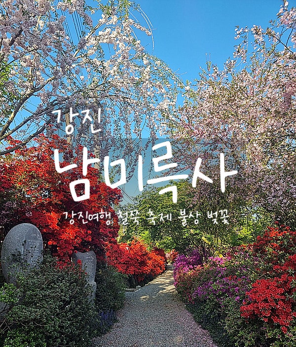  강진, 남미륵사 활짝 핀 철쭉 동굴과 아미타불 불상 등 강진여행 출발