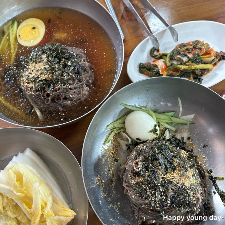  [동해 막국수맛집] 내돈내산 어르신들이 좋아하는 막국수집, 매운막국수 황정숙막국수