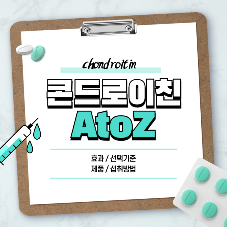  콘드로이친 효능 철갑상어 연골 효과 선택기준 추천