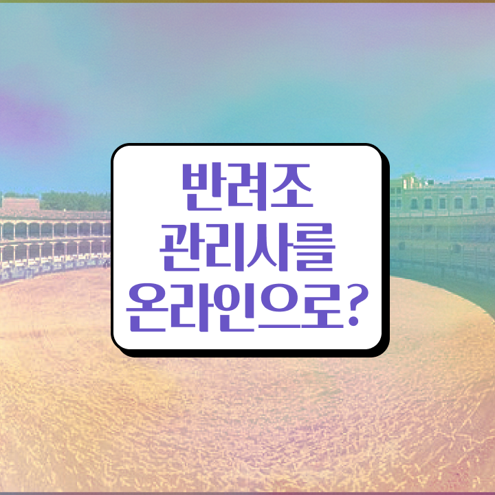  회색앵무새수명 , 반려조관리사 자격증 구인,구직 정보 알려드려요