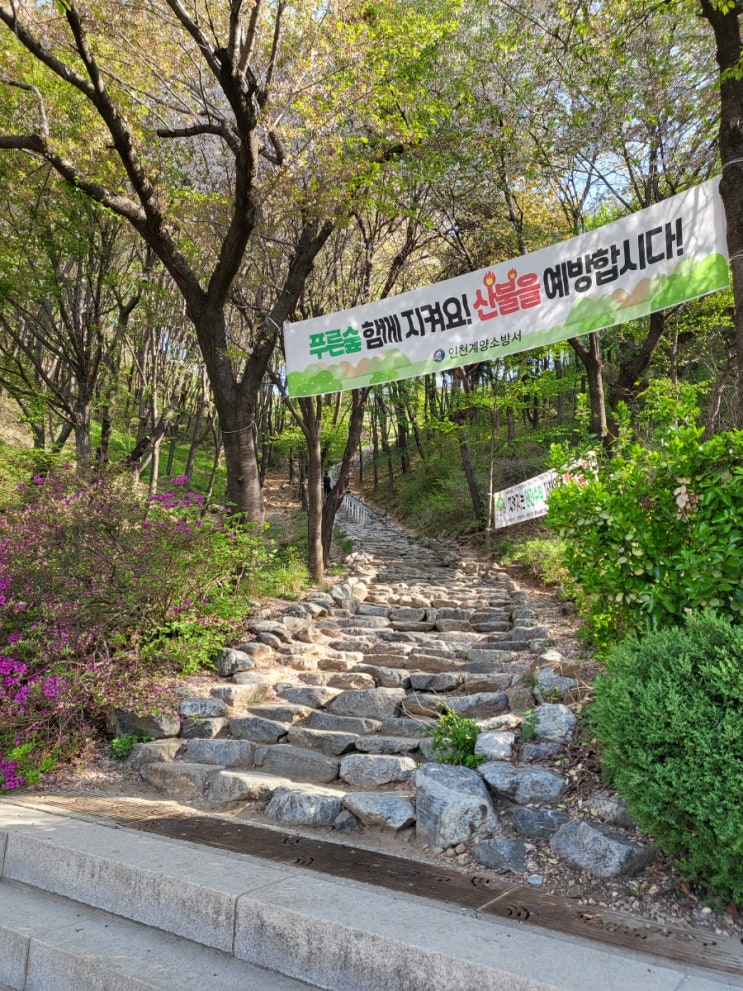  인천 계양산 산책로 정비로 새로운 등산 코스 소요시간 주차팁