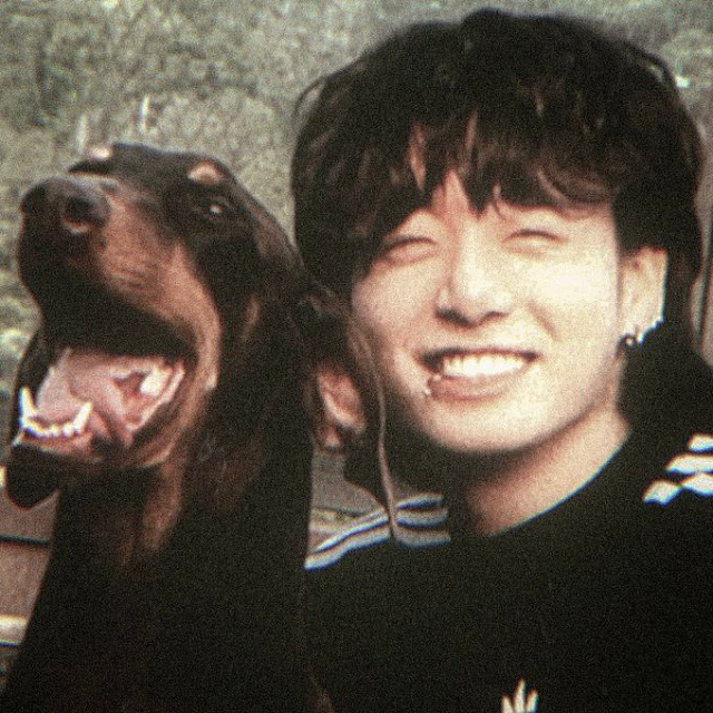 News image: Jungkook back on IG