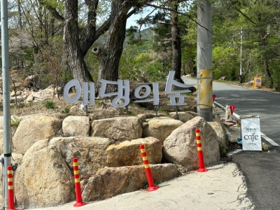 사진 2