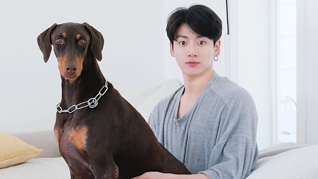 News image: Record-breaking Superstar Pup