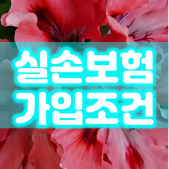  실손보험가입 조건 및 나이 단독가입 등을 인터넷에서 손쉽게 확인해 보세요.