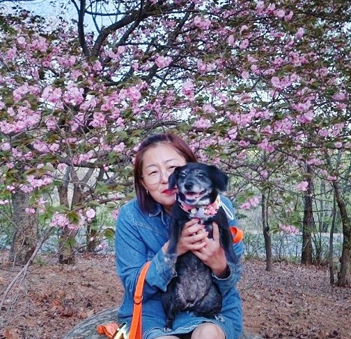 경주 겹벚꽃 명소 불국사 애견동반여행 실외 가능해 경주 겹벚꽃 명소 불국사 애견동반여행 실외 가능해