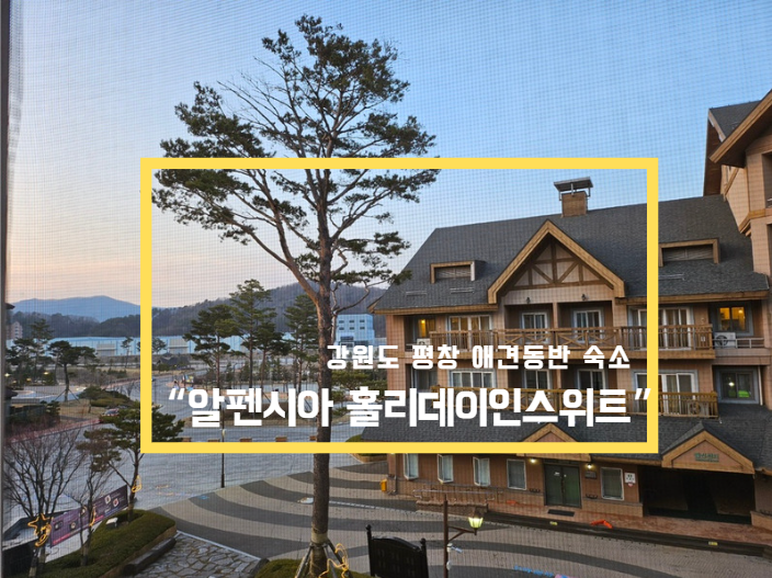 사진 10