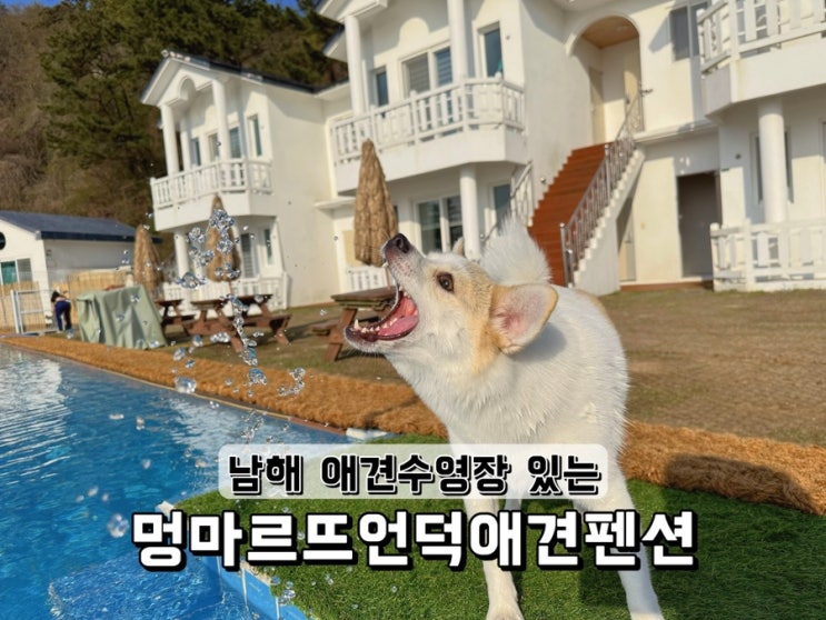  남해 애견동반 펜션 애견수영장 있는 멍마르뜨언덕