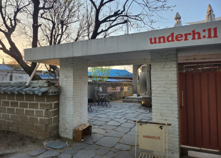  아산 곡교천 은행나무길 감성카페 언더힐 우리집 고양이 데리고 다녀왔어요
