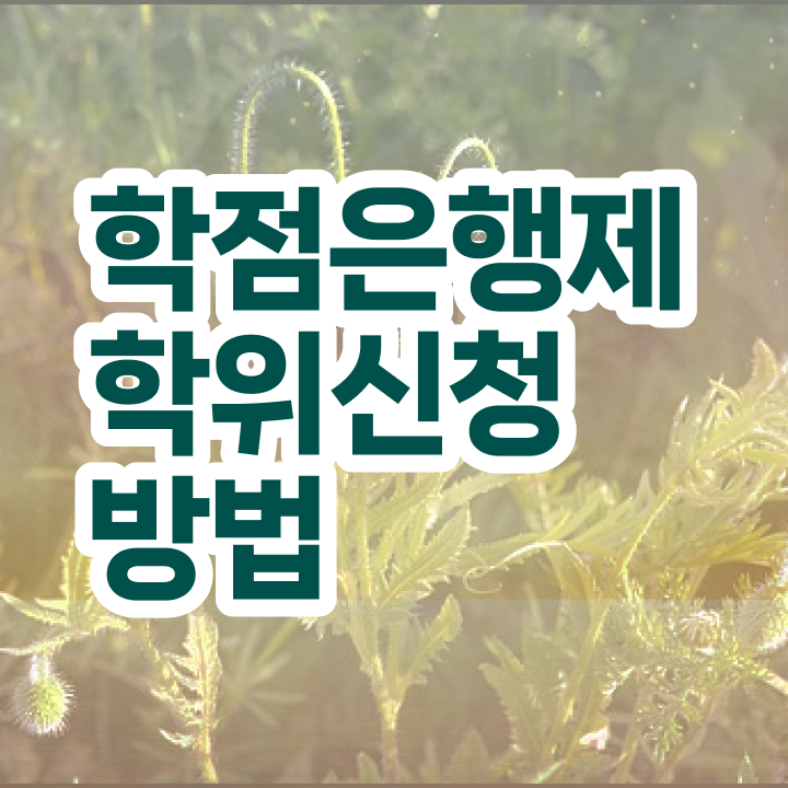  학점은행제 신청방법 학점은행제 과목 정보꾸러미