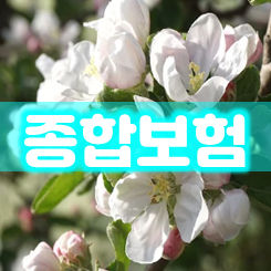  종합보험가입, 실손의료비를  보완할 수 있는 상해 및 질병 보장을 자유롭게 설계하세요.