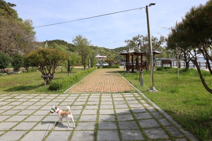  무안 가볼만한곳, 경치좋은 주룡나루쉼터, 영산강자전거종주길