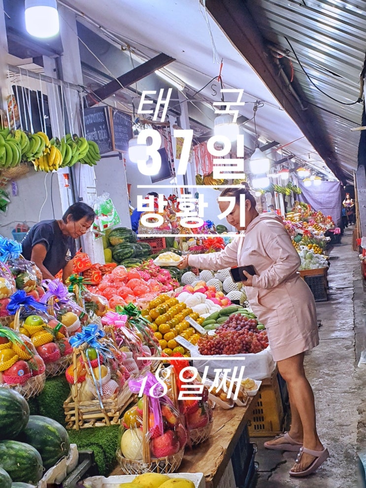 [태국 37일간의 방황기] 18일째 치앙라이 버스터미널 서울 식당 치앙라이 야시장 반 바라미 게스트하우스 황금 시계탑