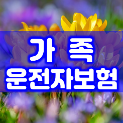  가족운전자보험 보상 구성 및 가격과 가입 조건을 확실히 알아두고 비교하세요.