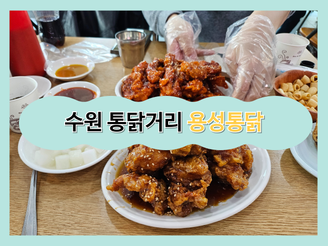 [경기 수원] 용성통닭 본점 (양념+왕갈비 통닭) 솔직후기