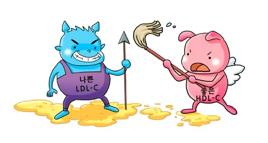  이상지질혈증(고지혈증) LDL콜레스테롤 계산방법과 정상수치, 자동계산기 첨부