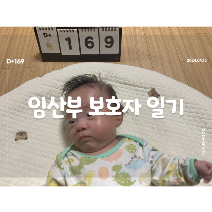 애교부리는 이른둥이 도담이 D+169 애교부리는 이른둥이 도담이 D+169