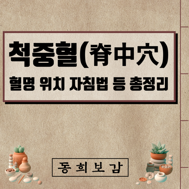  척중혈(脊中穴) GV6, 소속경맥 혈명 위치 특성 자침법 등 총정리