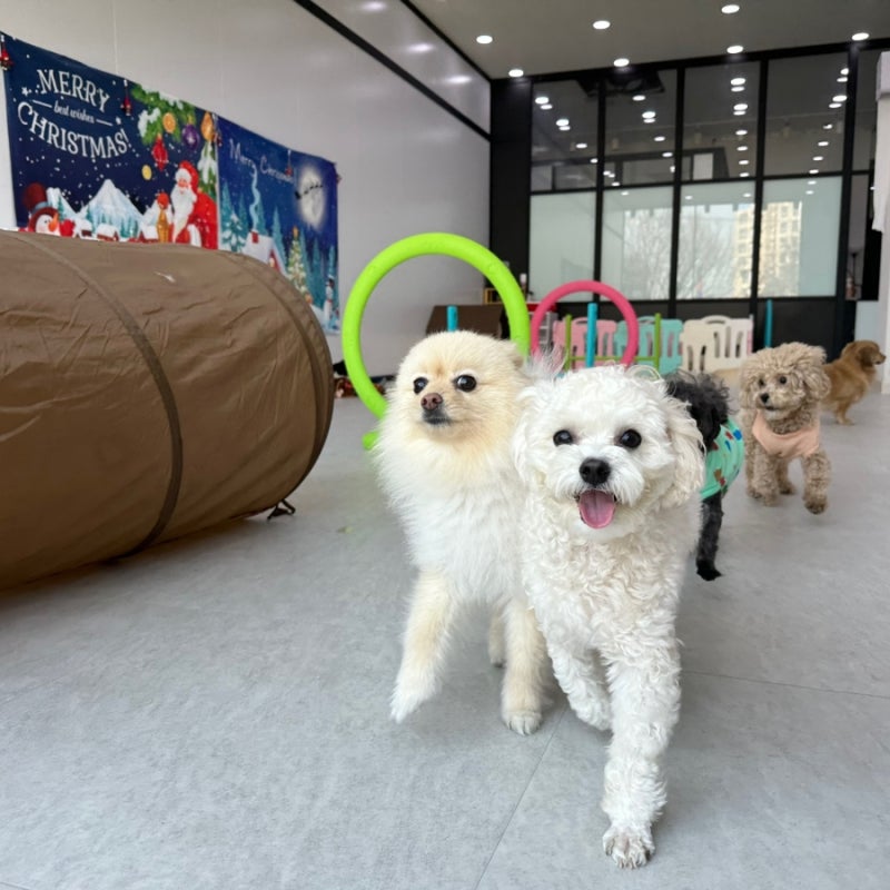 사진 6