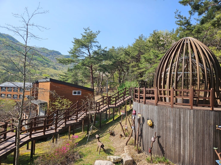대전광역시 여행 (중부권 대표 산림복지시설 : 국립대전숲체원) 대전광역시 여행 (중부권 대표 산림복지시설 : 국립대전숲체원)