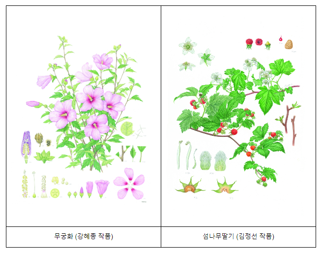 국립수목원, 2025 세계 식물세밀화 전시회를 위한 세밀화 공모전 시작