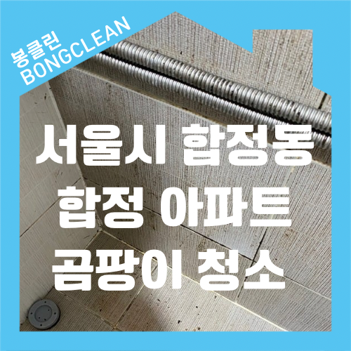  서울시 마포구 합정동 합정역 합정 아파트 화장실 곰팡이 제거