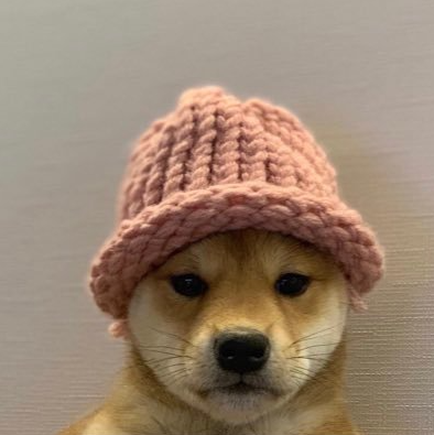  멍디×헌트타운 4주 차 과제 dogwifhat