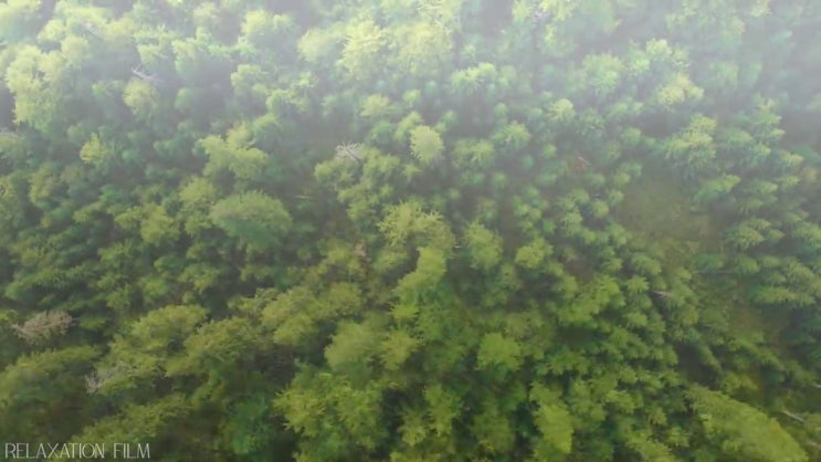  상담사자격증 , 심리상담사 자격증 학습방법 후기 , 구인구직 채용 관련