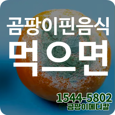 곰팡이핀음식먹으면 총각김치 곰팡이 증상 구토 설사 복통