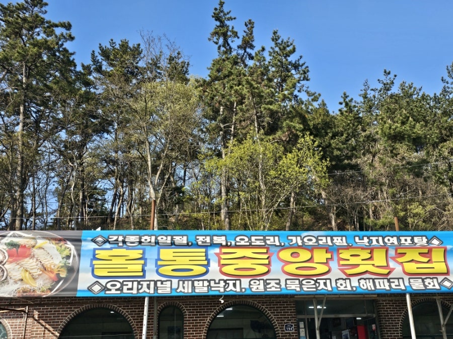 홀통중앙횟집 사진 1
