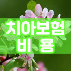  치아보험 비용 간편하게 비교하고 가입 시 알아두어야 할 부분도 챙겨두세요.