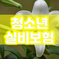  청소년 실비보험 가입 전에 가격 비교 주의사항 정도는 꼭 읽어보셔야죠!