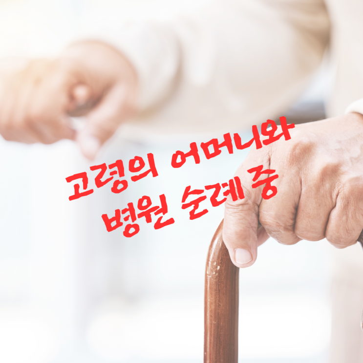 고령의 어머니와 병원 순례 중