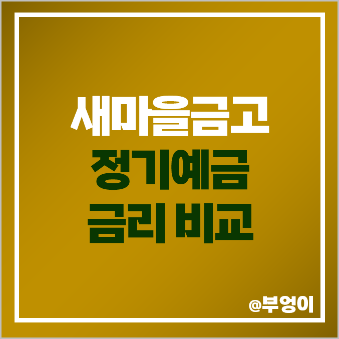 MG 새마을금고 정기예금 금리 비교 6개월 단기 예금 특판 추천 MG 새마을금고 정기예금 금리 비교 6개월 단기 예금 특판 추천