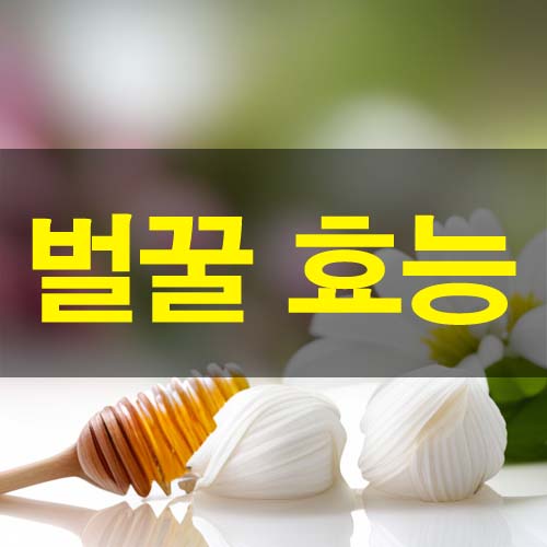  달콤한 꿀 효능 및 부작용 하루 권장량 유아 섭취 유통기한