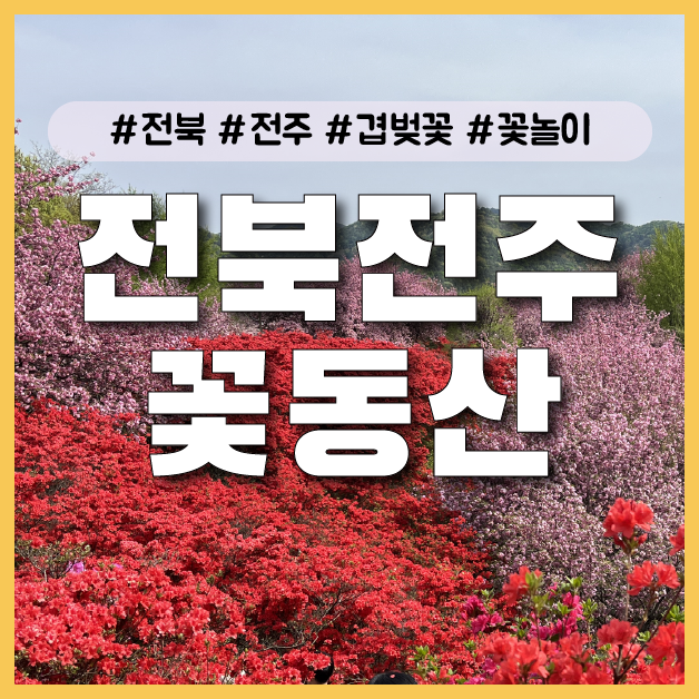  [전주] 겹벚꽃 명소로 유명한 꽃동산에서 꽃놀이 데이트 즐기기